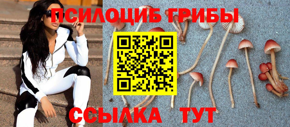 Псилоцибиновые грибы Cubensis  Галлюциногенные грибы GOLDEN TEACHER  Серов  Вход с VPN 